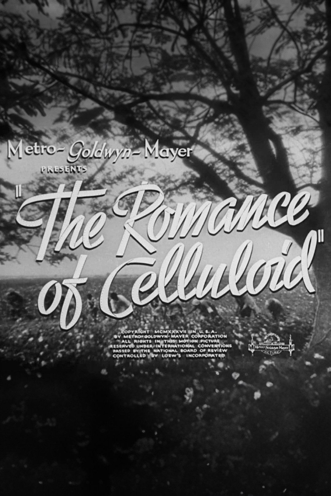 Постер The Romance of Celluloid